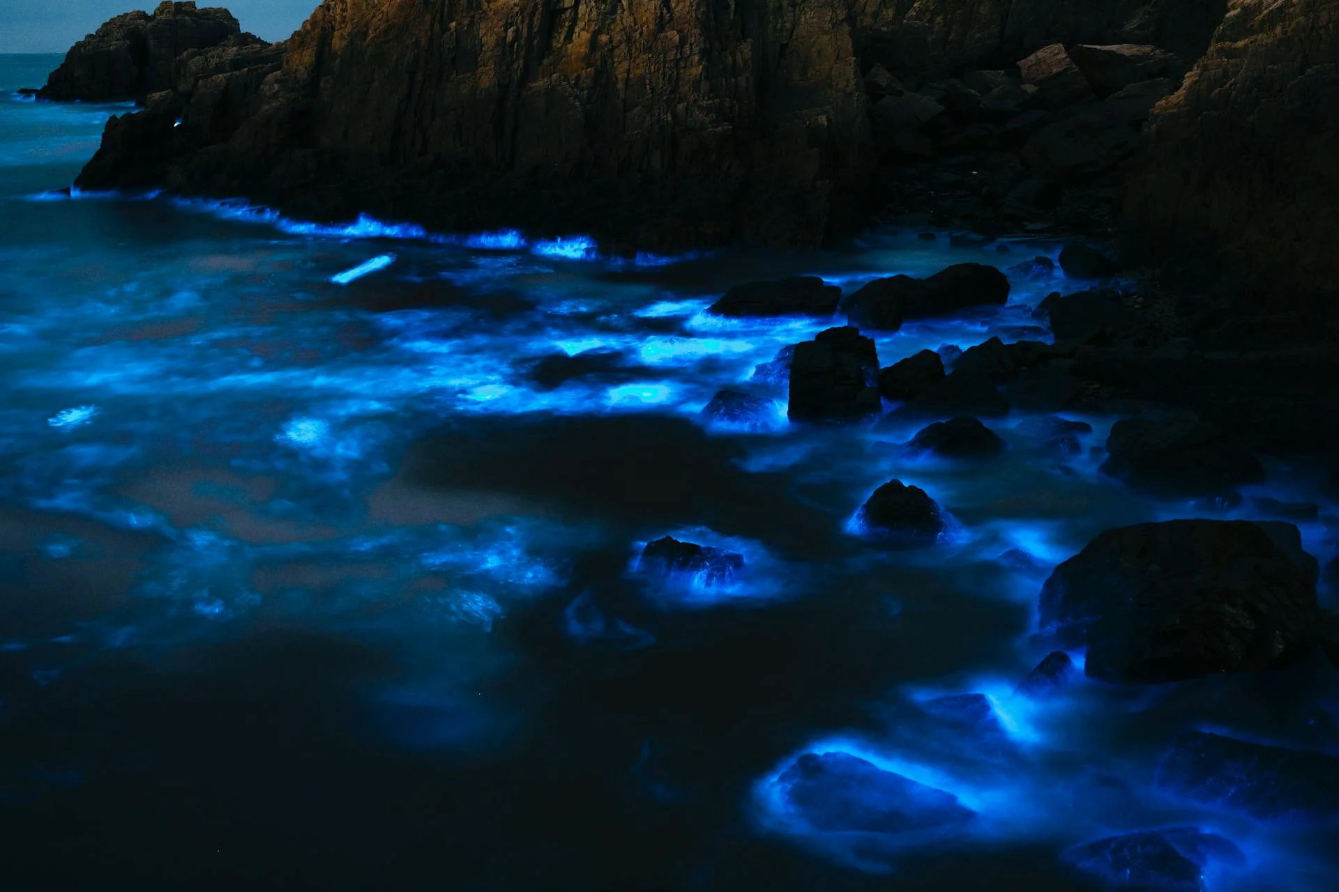 Bioluminescence Night Kayaking