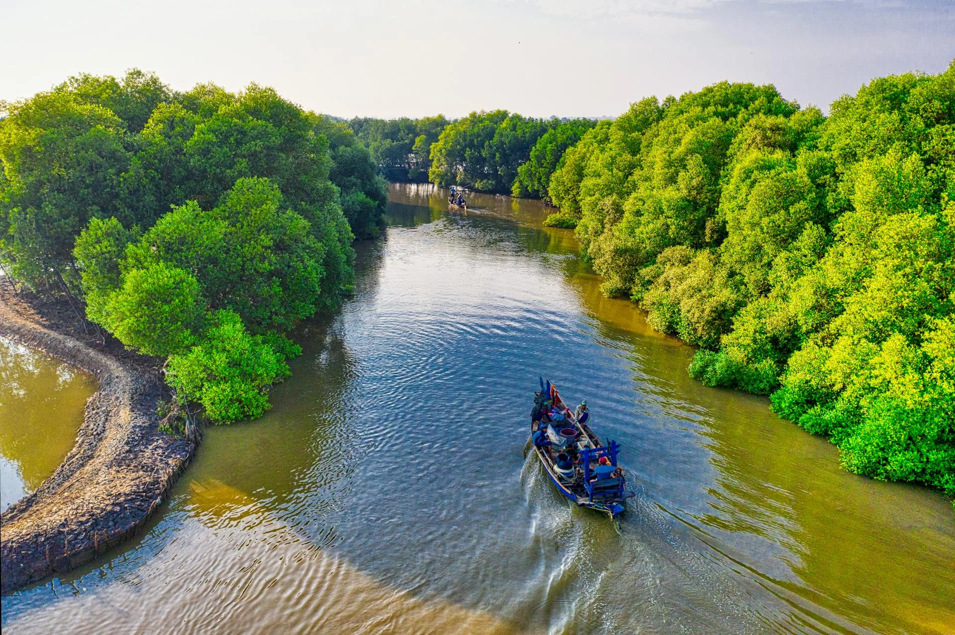 Mangrove Boat Tour