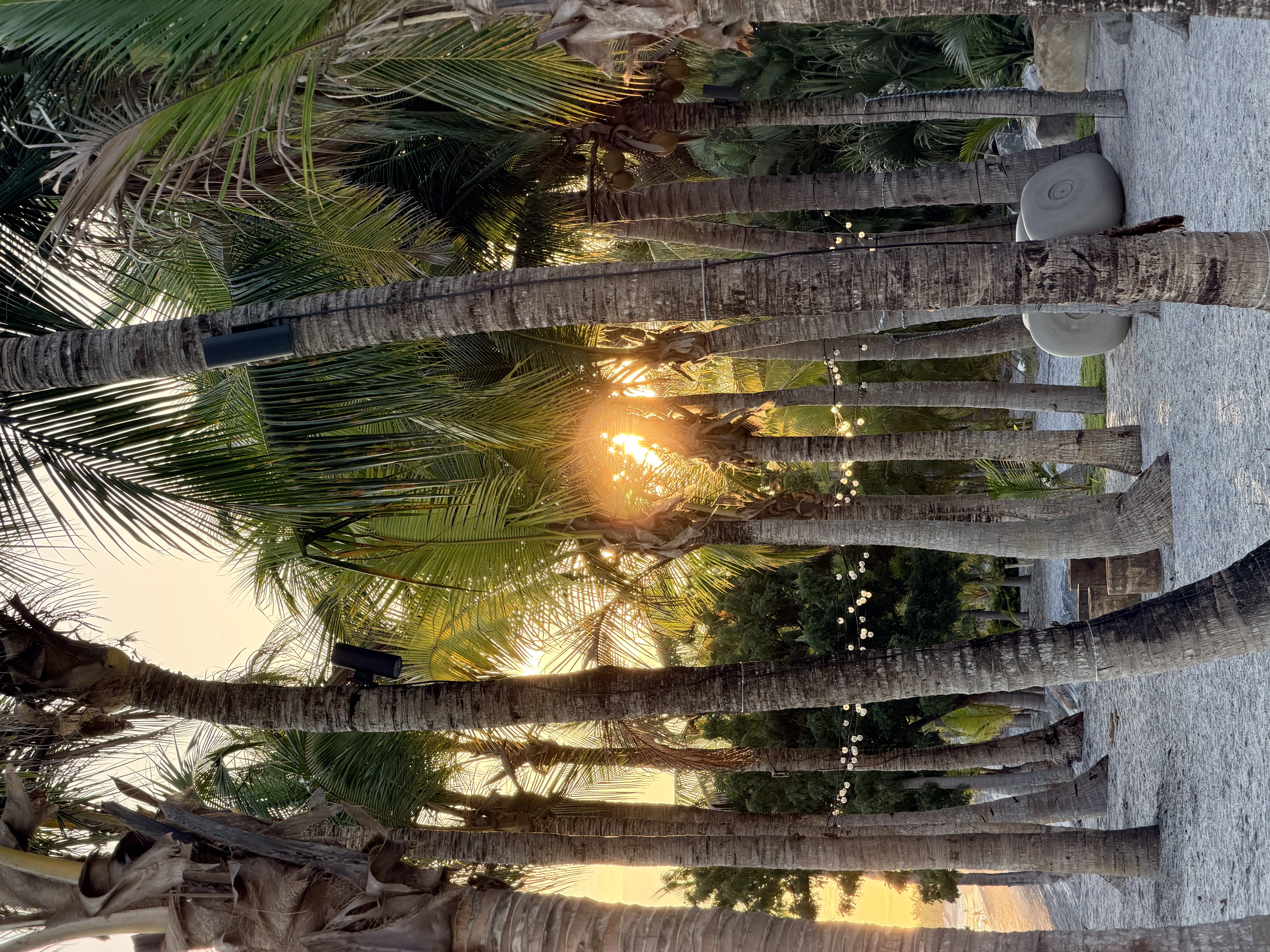 Playa Buenaventura - 4