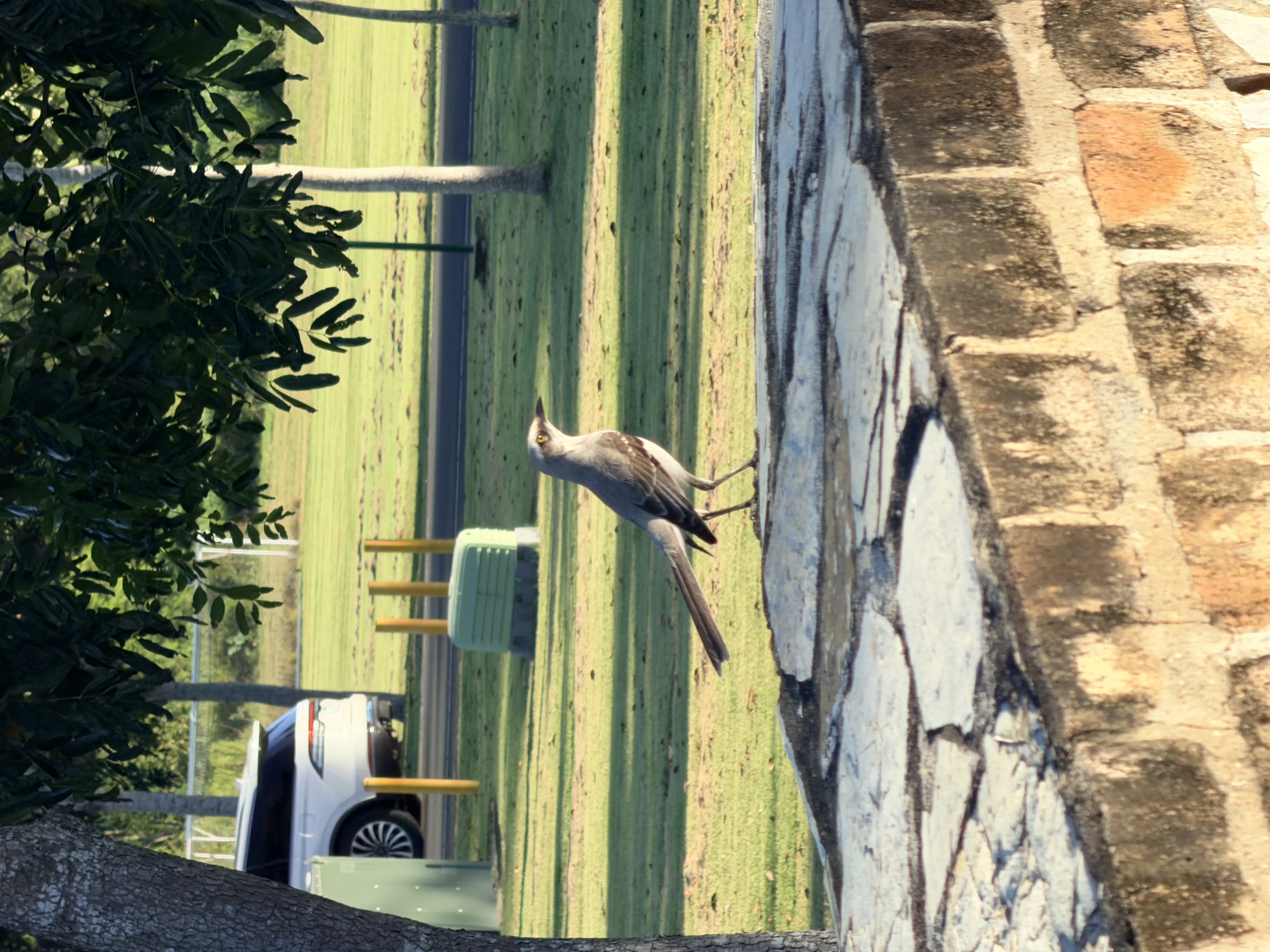 Centro Deportivo Buenaventura - 5