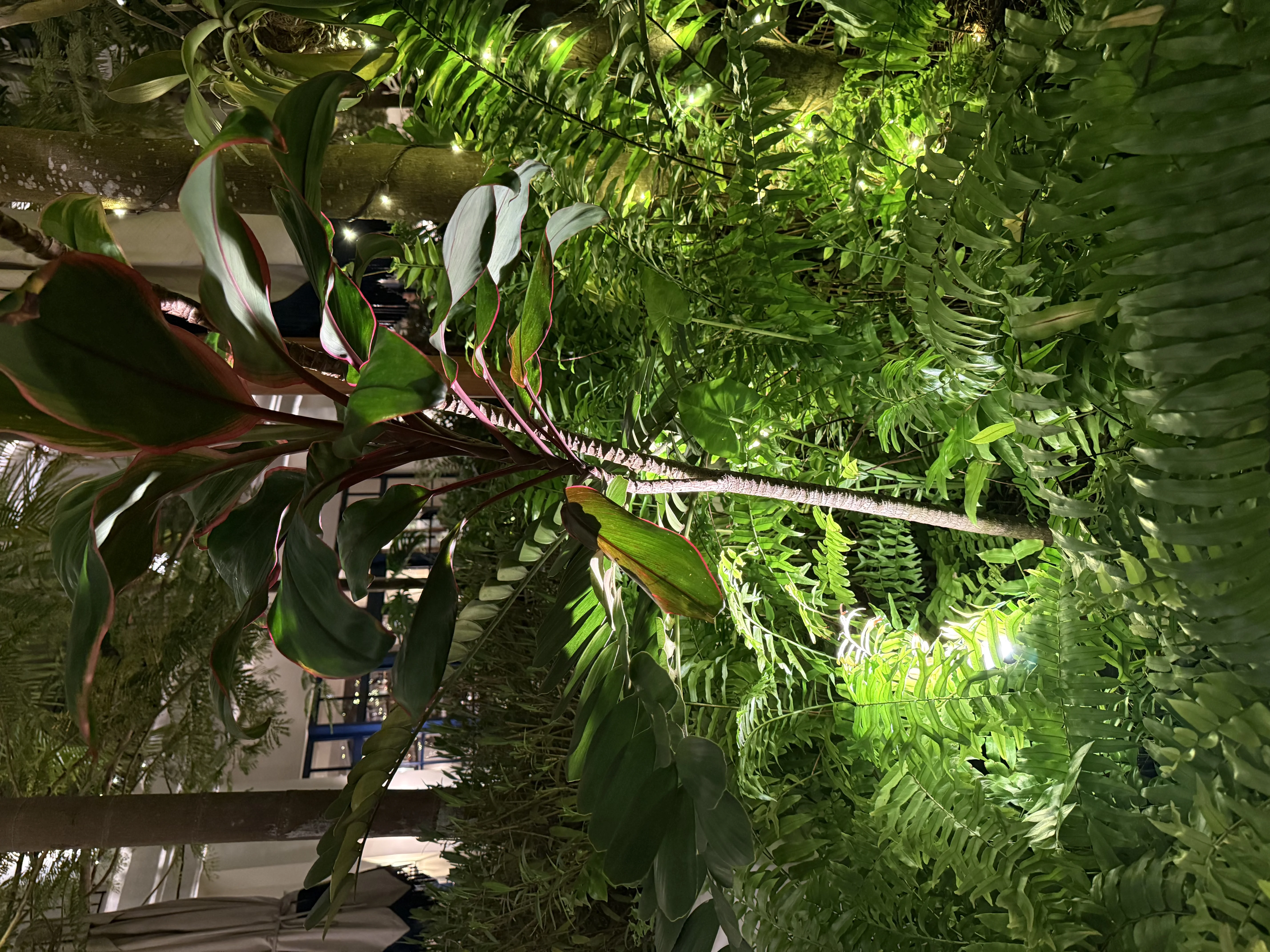 Sofitel Legend Casco Antiguo - 7