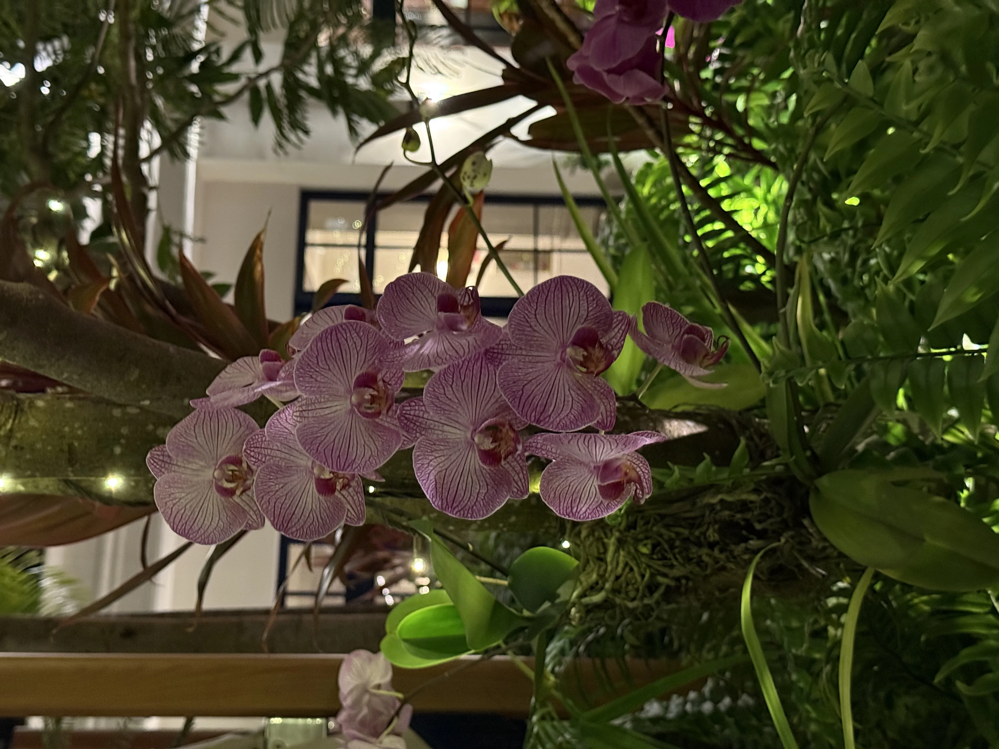 Sofitel Legend Casco Antiguo - 8