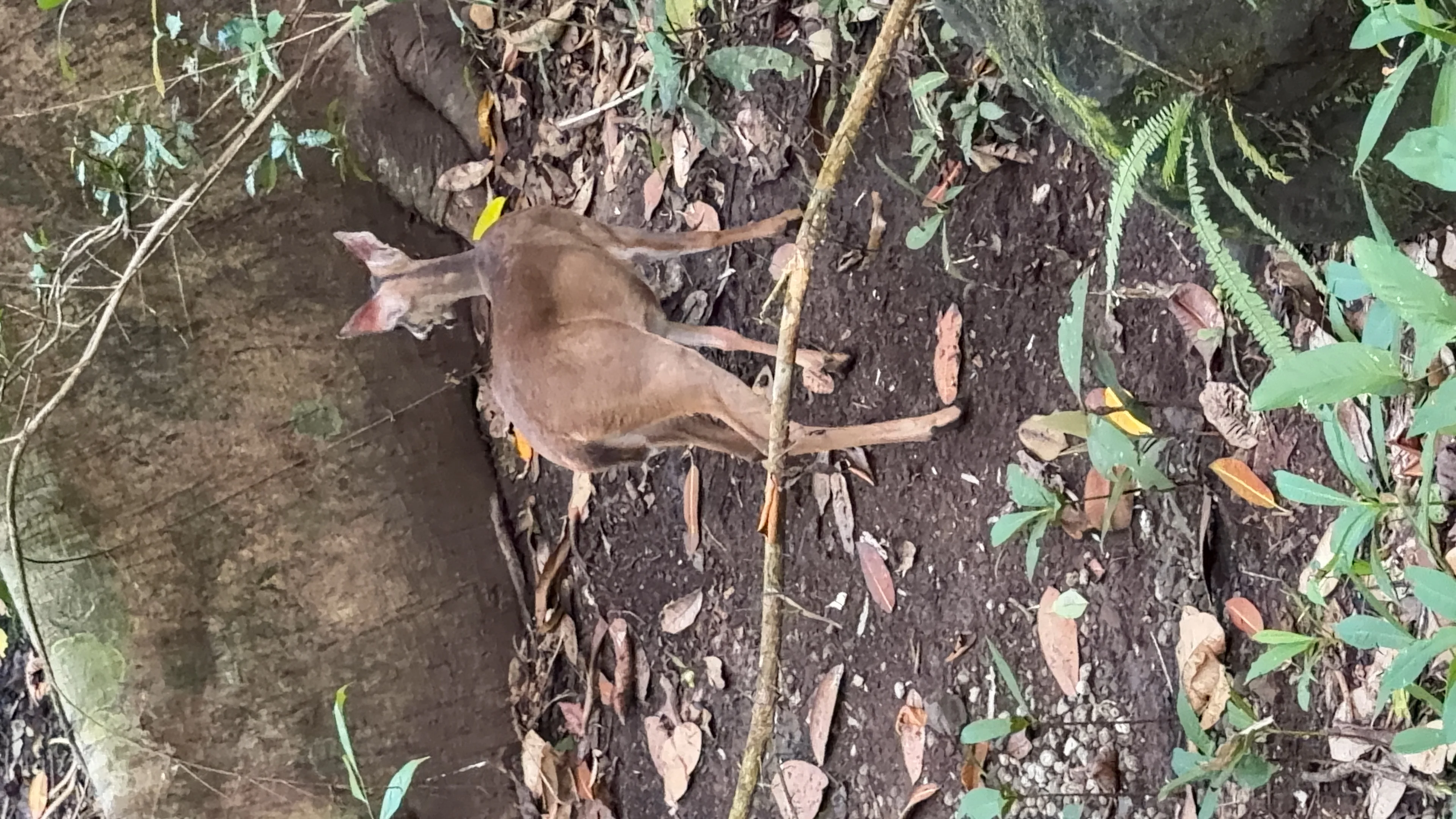 Parque Natural Metropolitano - 3