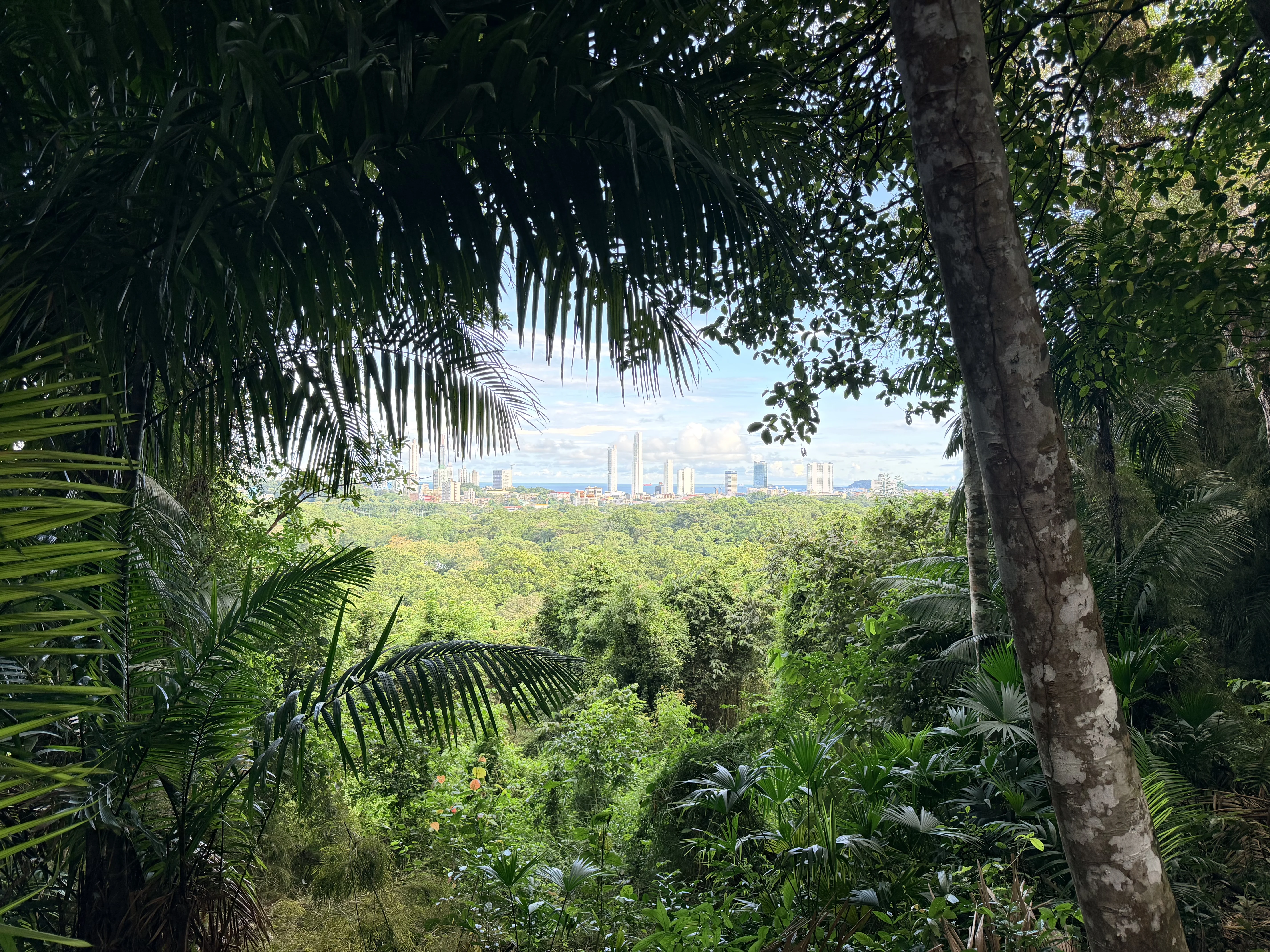 Parque Natural Metropolitano - 2