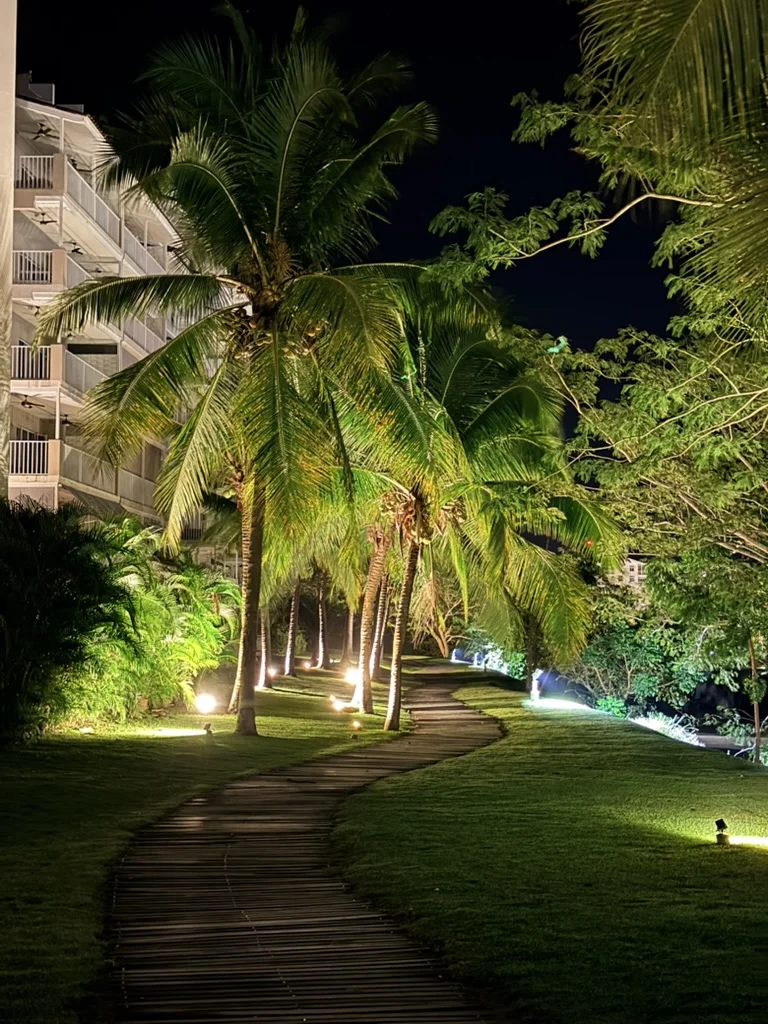 Illuminated stone pathway winding through lush green lawn and tall palm trees at night. Atmospheric garden lighting.