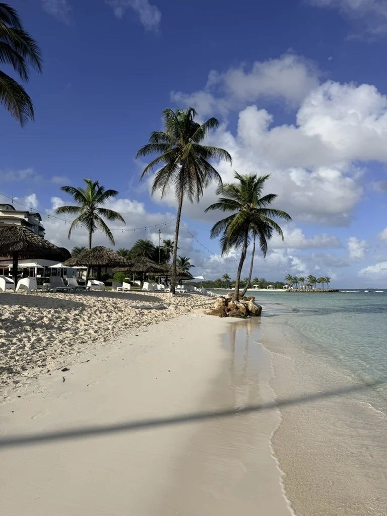 Tu Guía del Área de Playa Escondida